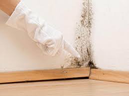 Best Basement Mold Removal  in Bethel, AK